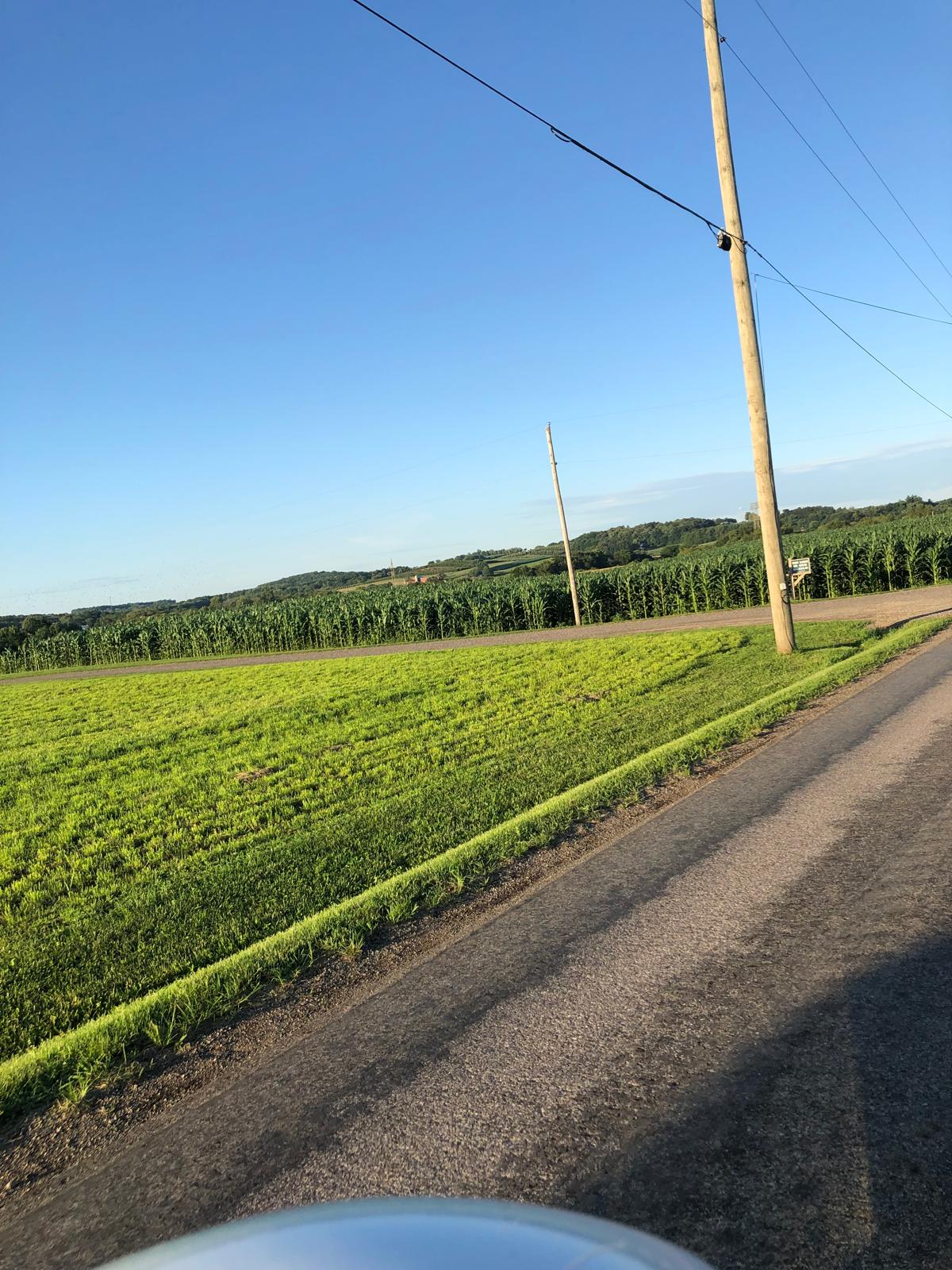 Farm image 4