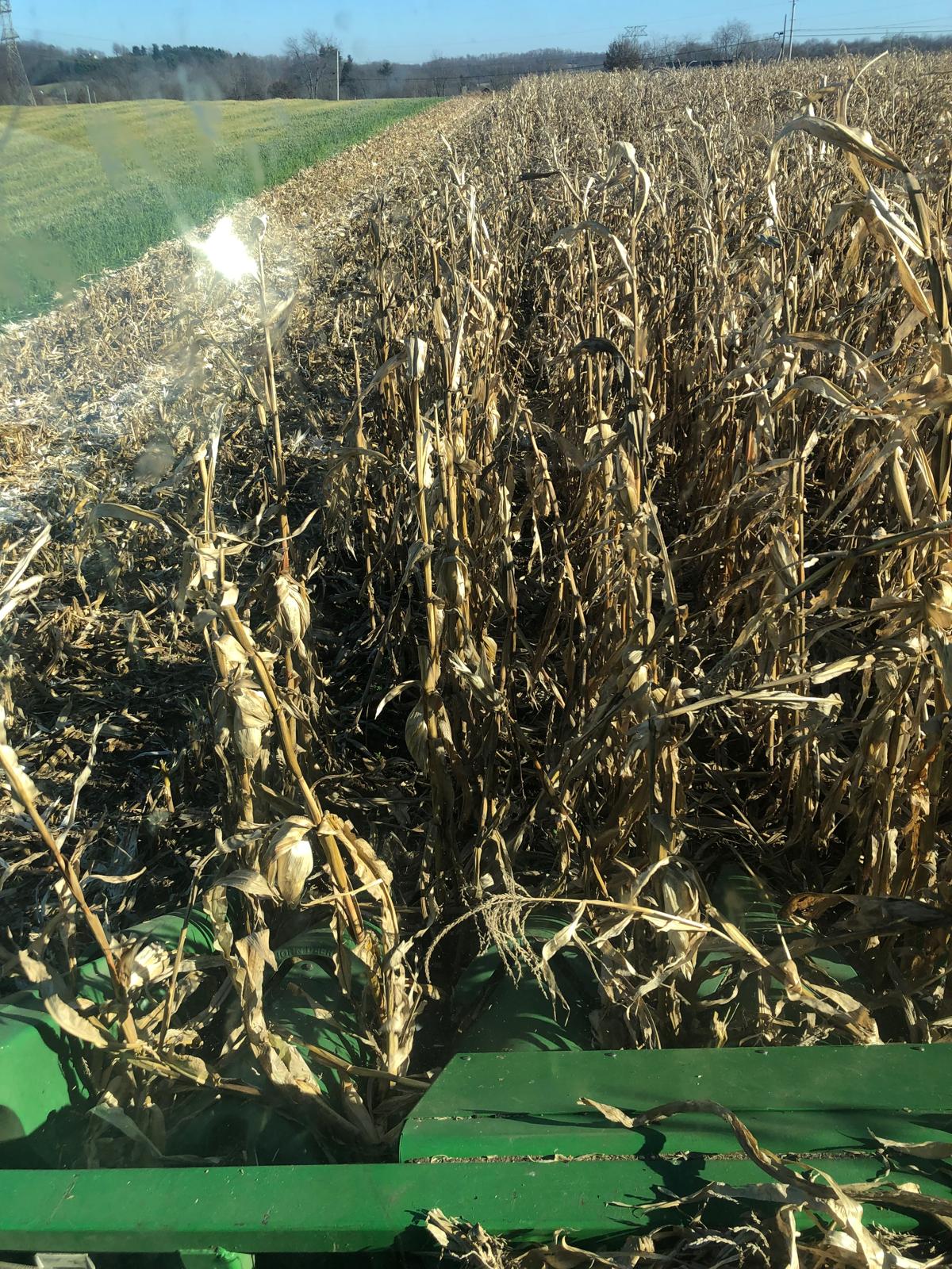 Farm image 18
