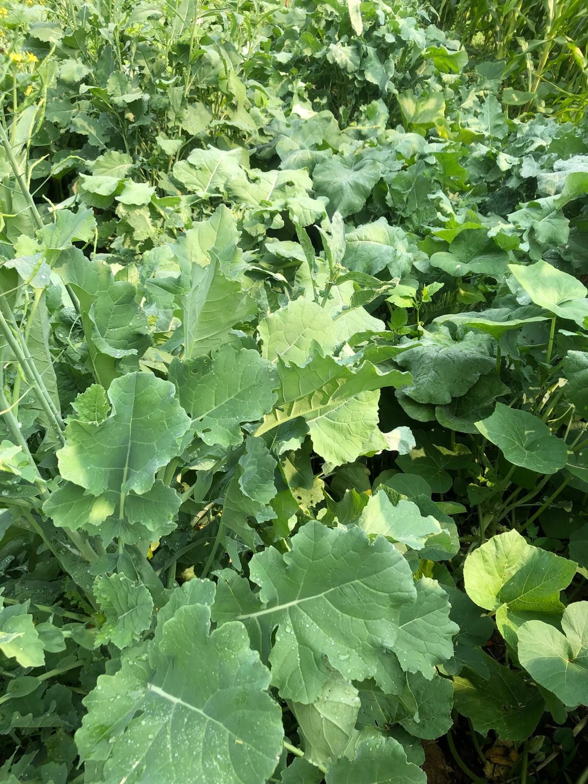 Farm image 22