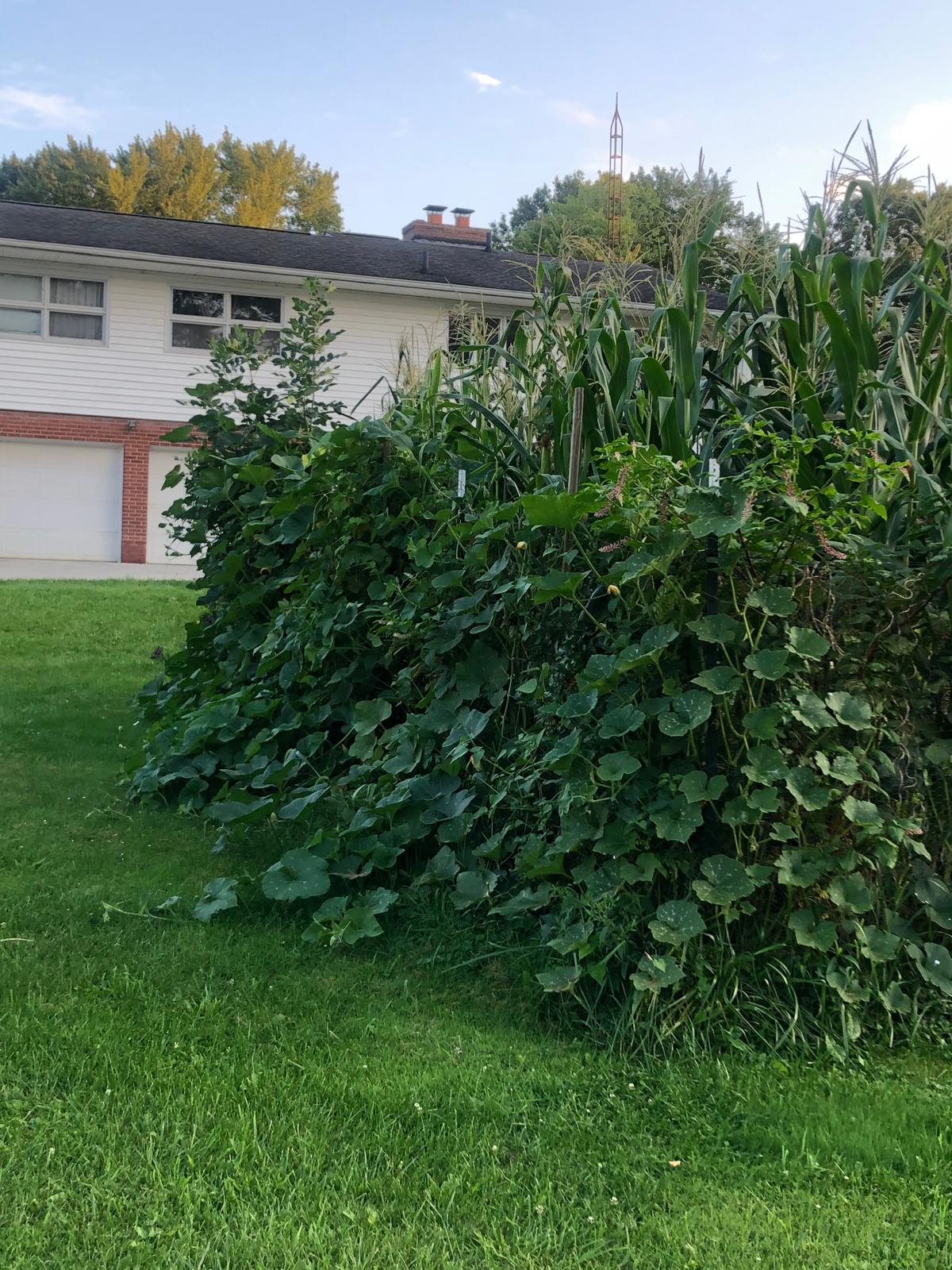 Farm image 28