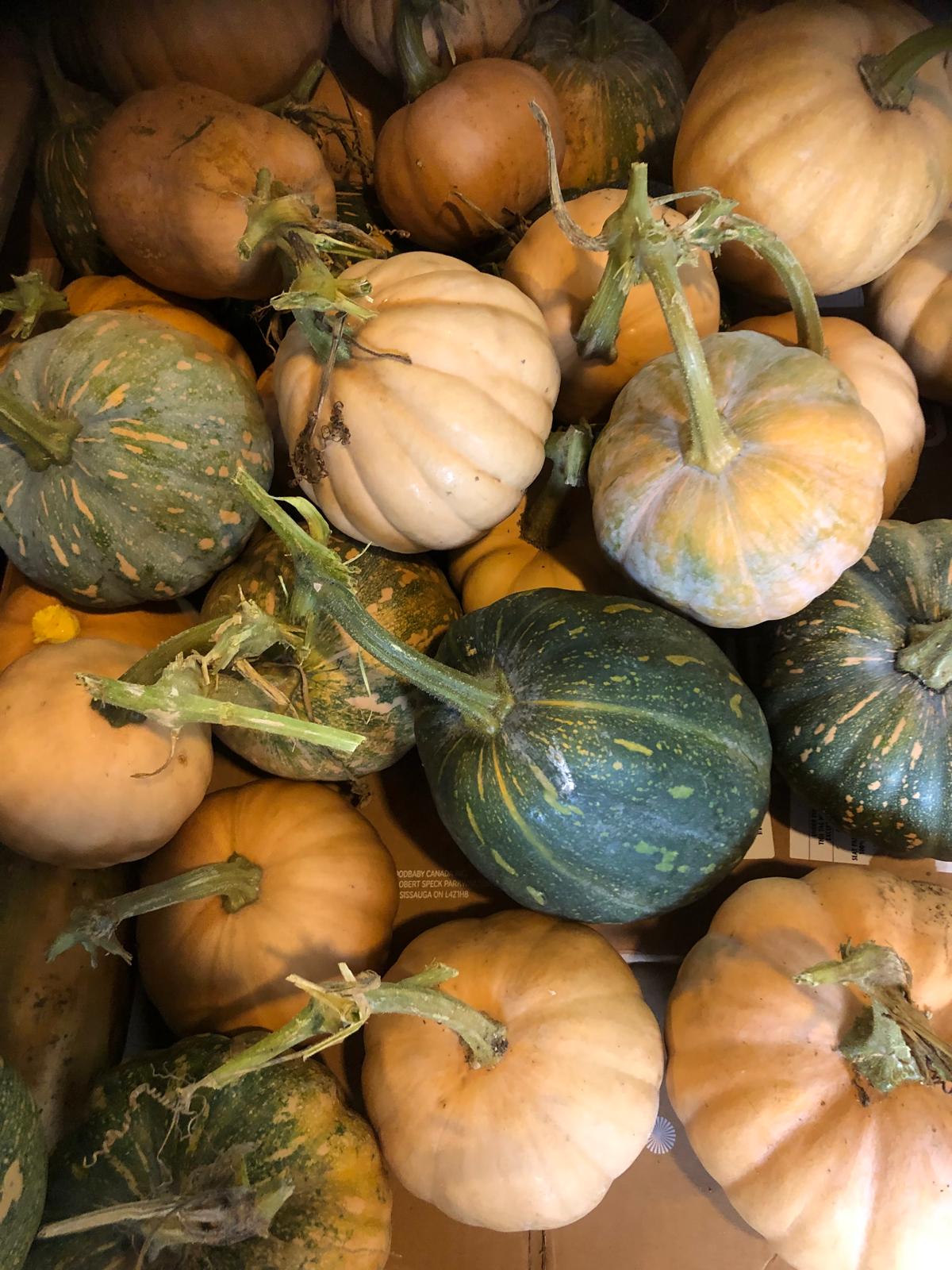 Farm image 36