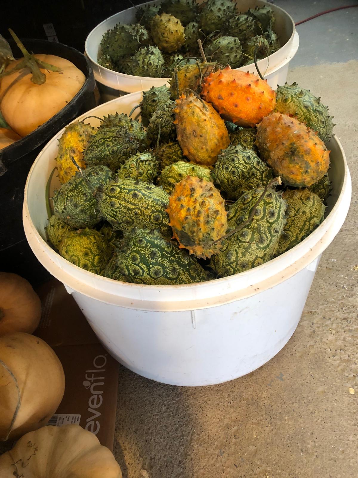 Farm image 37