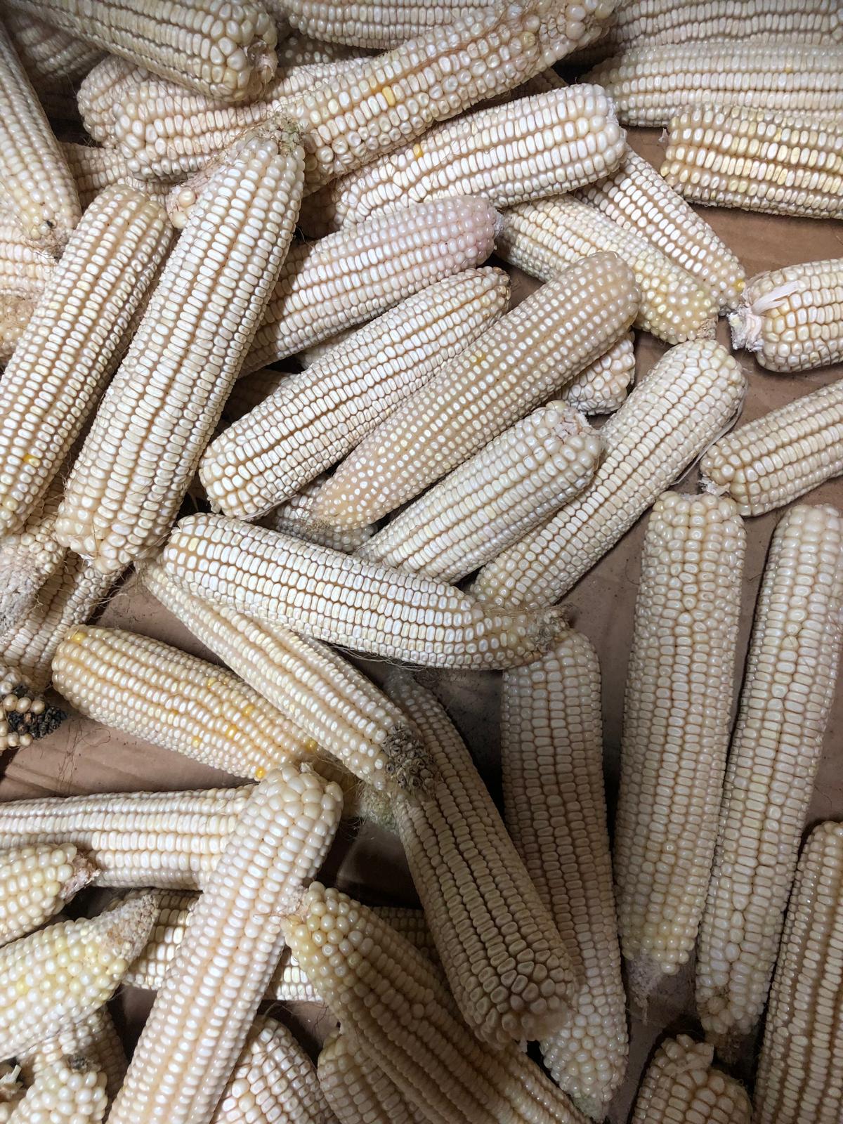 Farm image 40