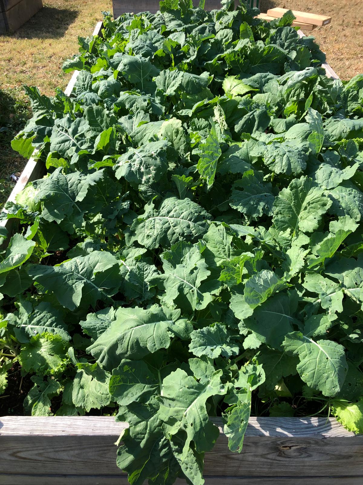 Farm image 41