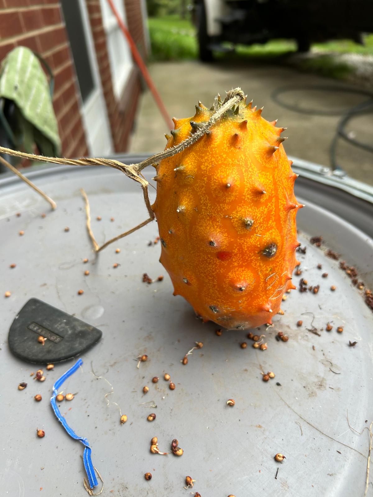 Farm image 44